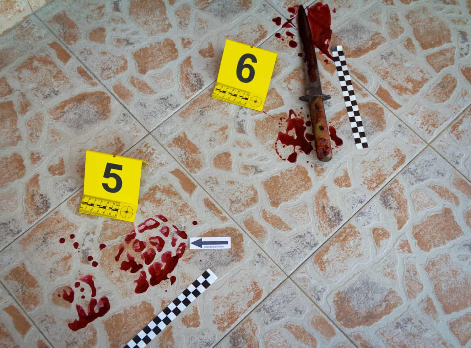 A tiled floor with blood stains, a large knife, and two yellow evidence markers labeled 5 and 6 sits near bifold doors. Black-and-white evidence rulers are placed close to the blood and the knife.