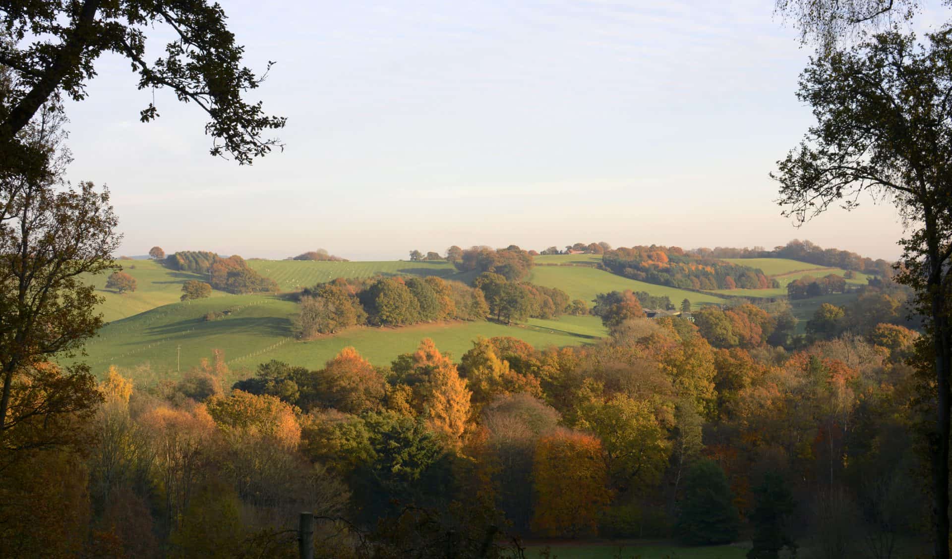 Living in Redhill: The Best Things to Do