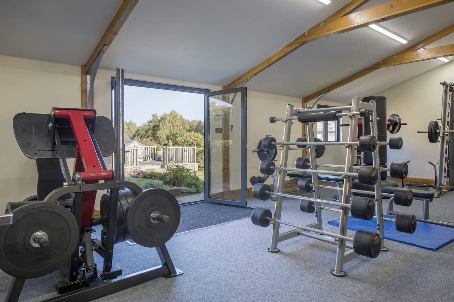 A well-lit home gym with weight machines, a dumbbell rack, and a blue exercise mat. Sliding doors are open, revealing a view of a sunny yard with trees and a fence outside.
