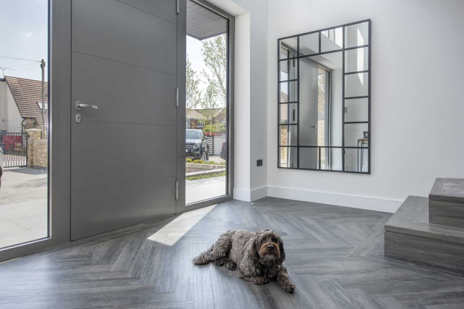 Dog laying in a modern hallway, which is featuring a premium aluminum front door paired with 2 panel windows